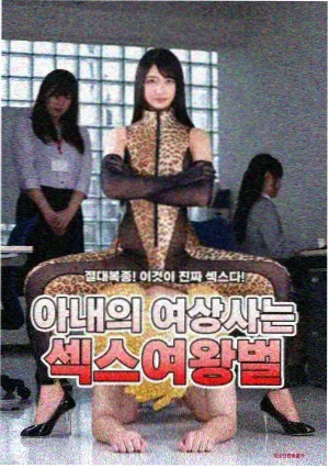 南风知我意 年代爱情剧海报